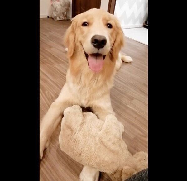 笑顔のナッツちゃん