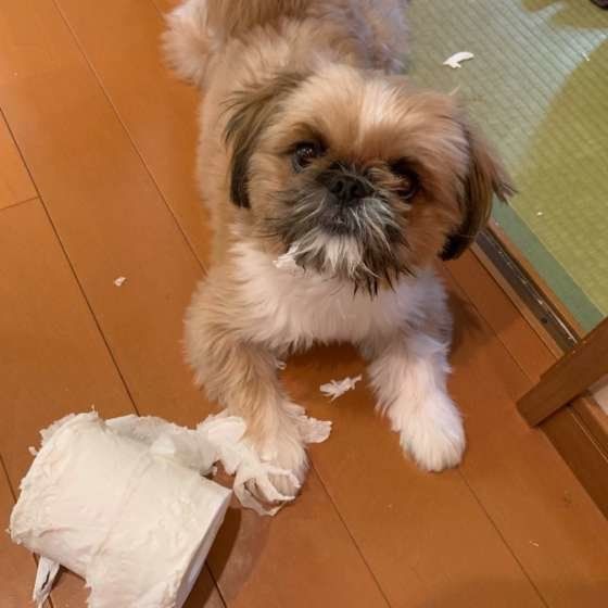 おひげに証拠がついてるよ(笑)