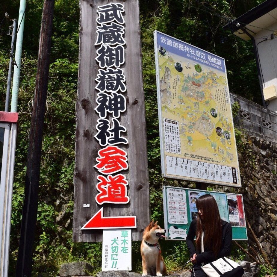 武蔵御嶽神社参道の入り口