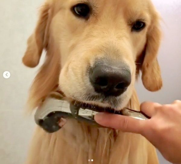 朝風呂でテンションが下がるアランくん