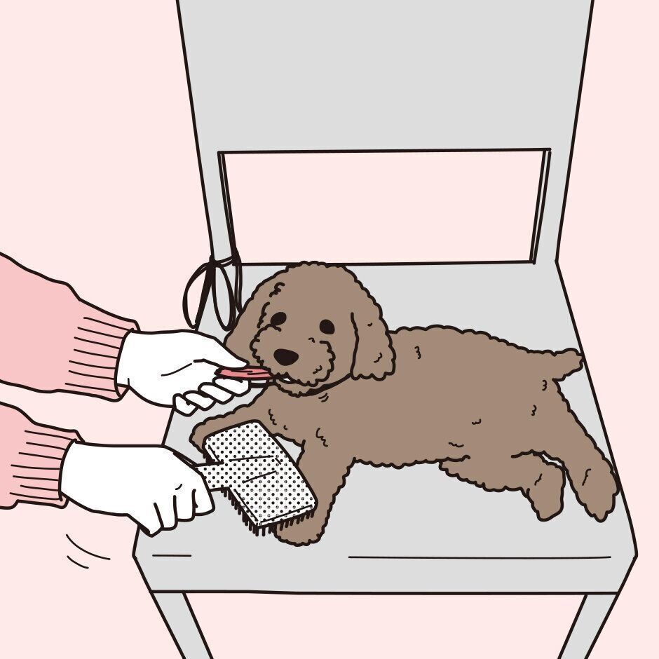 イラスト／二階堂ちはる