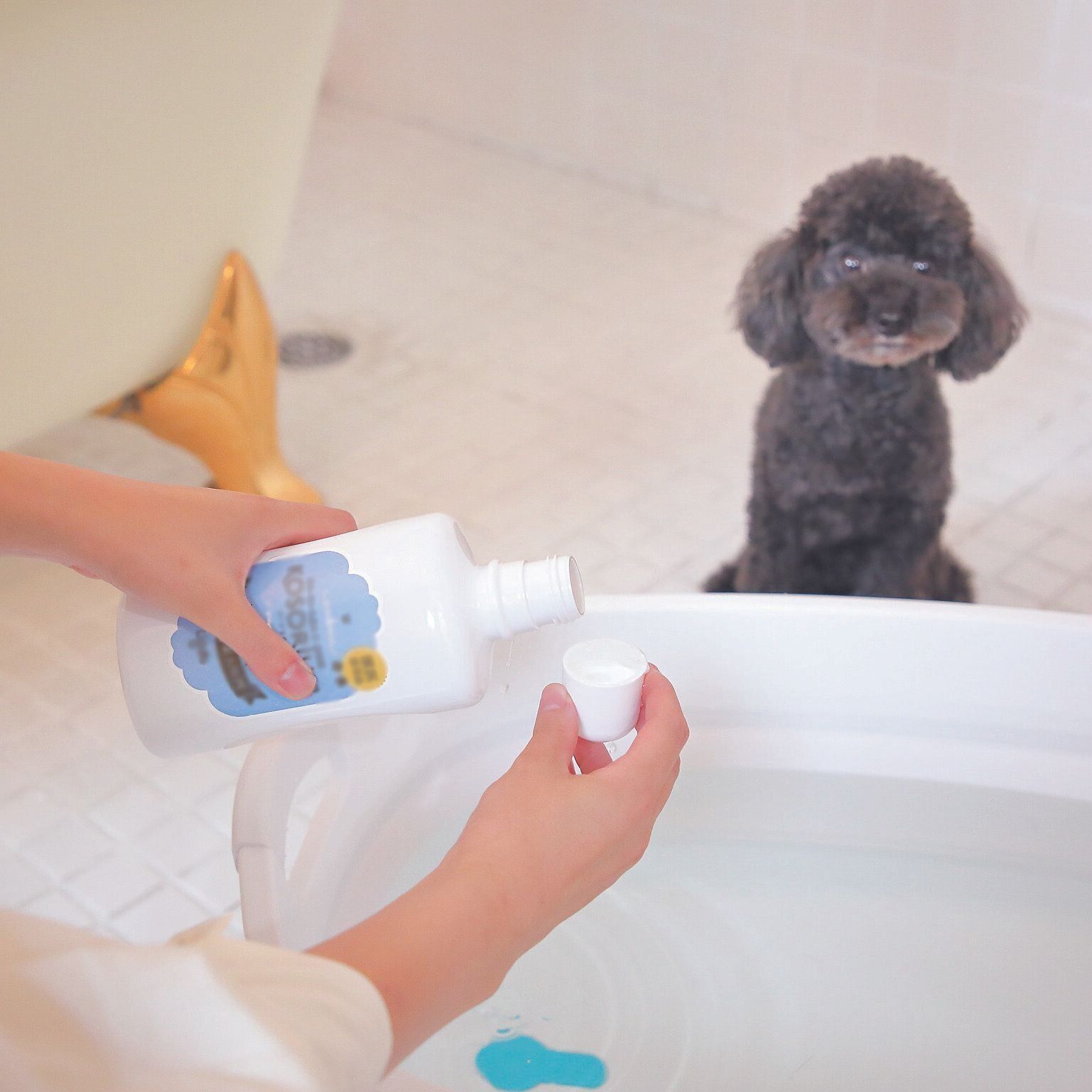 撮影／尾﨑たまき