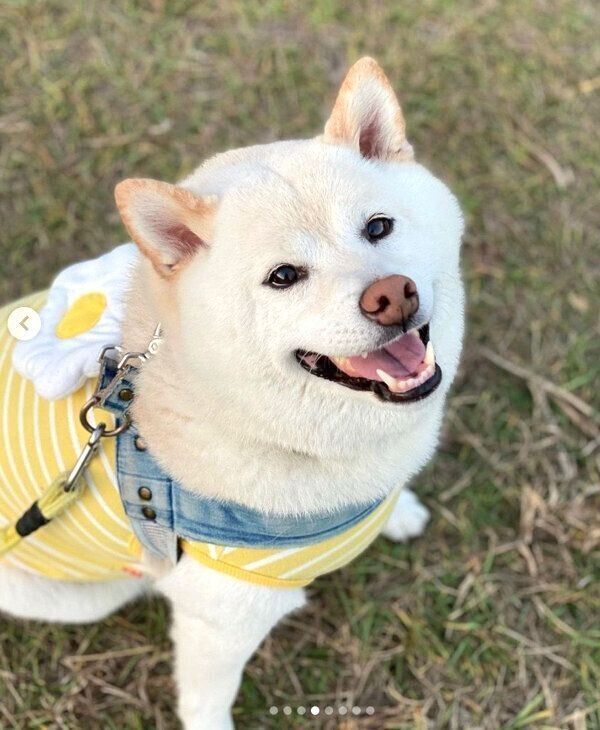 笑顔が可愛いごん太くん