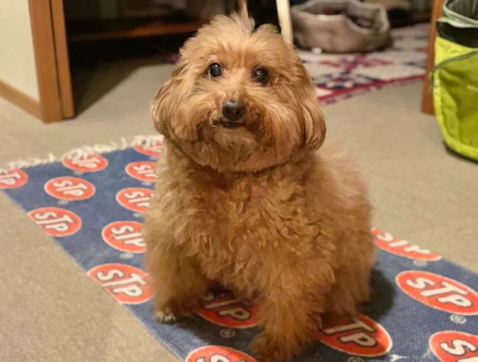 ふだんはおっとりとした性格の森くん