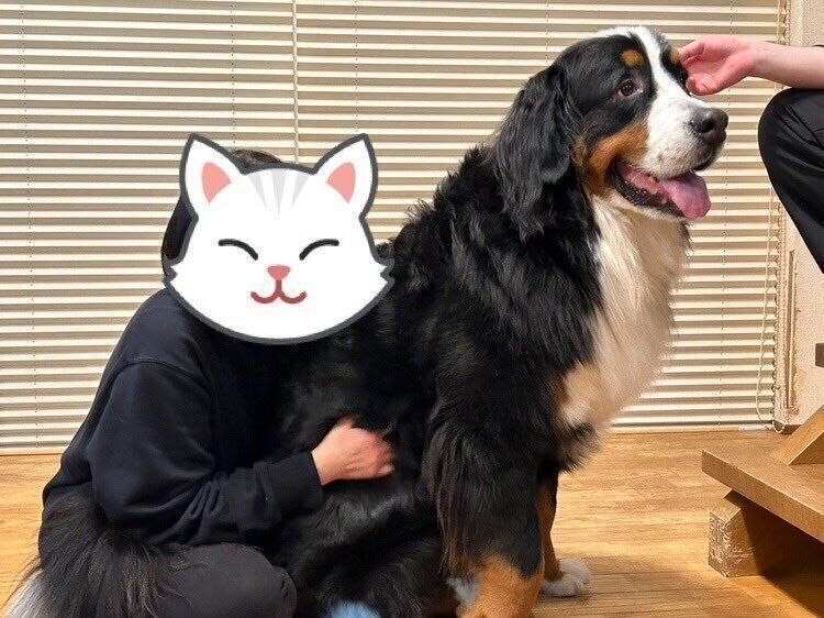 成長したボスくん