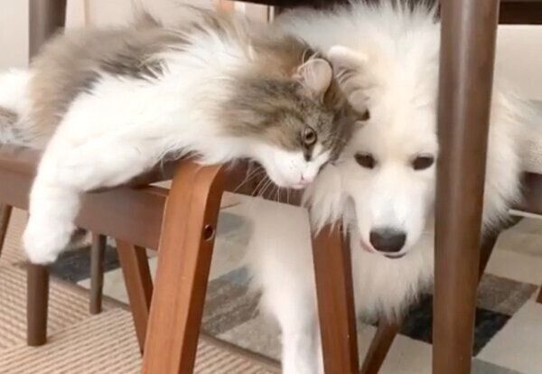 寄り添う小晴ちゃんと朝陽くん