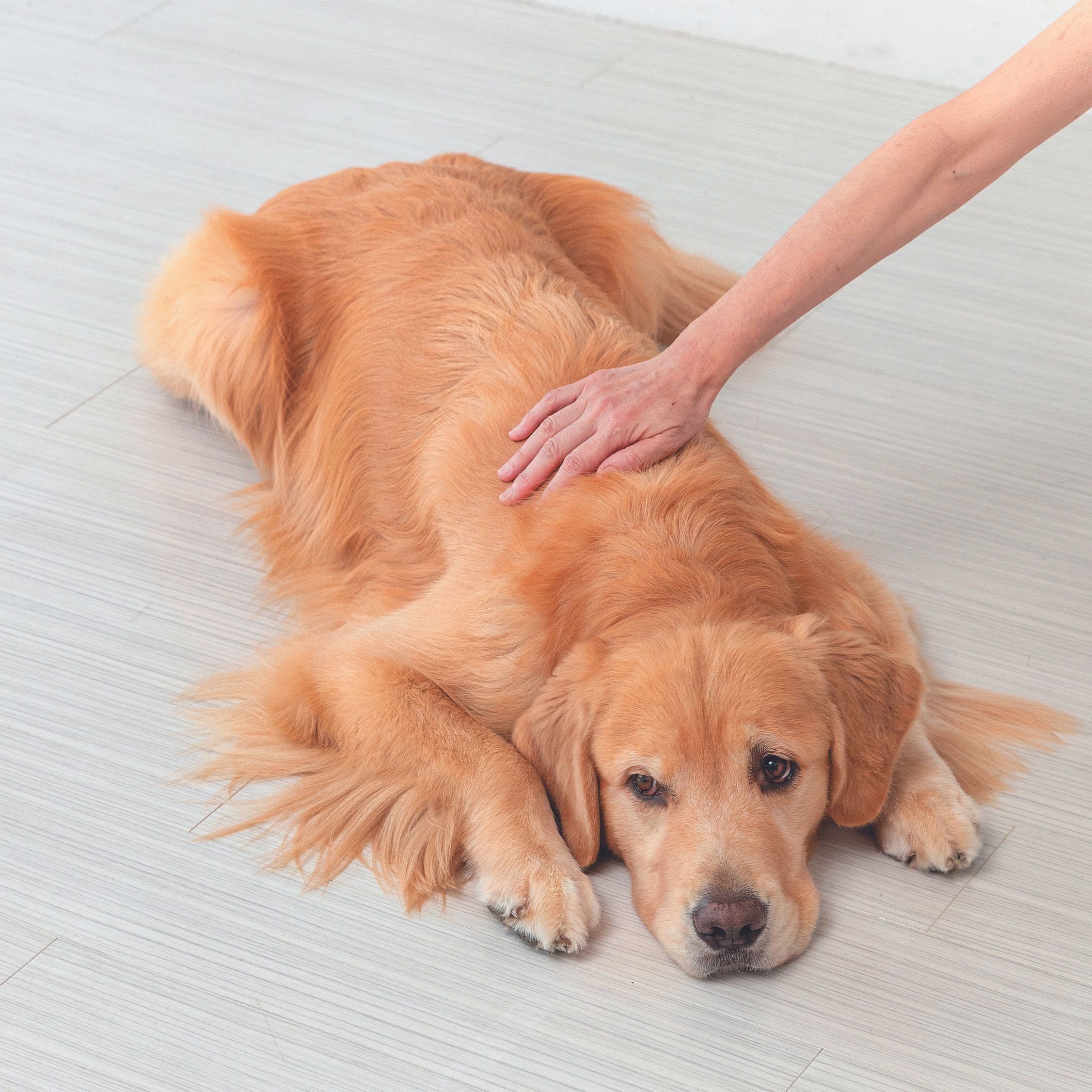 撮影／伊東武志