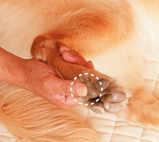 撮影／殿村忠博