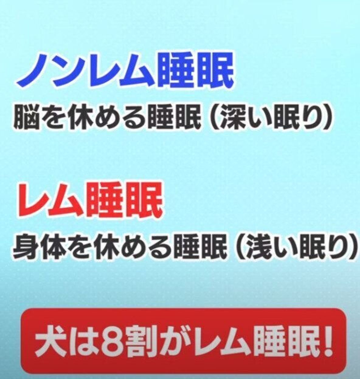 犬は眠りが浅い 狭い場所のほうが安心して眠れる 犬の睡眠を解説 いぬのきもちweb Magazine 犬は眠りが浅い 狭い場所のほうが安心して眠れる 犬の睡眠を解説 いぬのきもちweb Magazine
