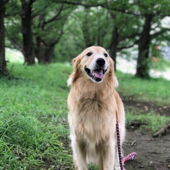 スマイルのもおかちゃん