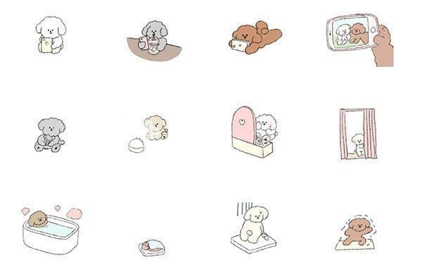 「いまどきのトイプー」