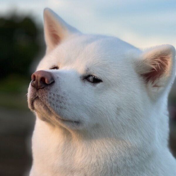 流し目でカメラ目線の海くん