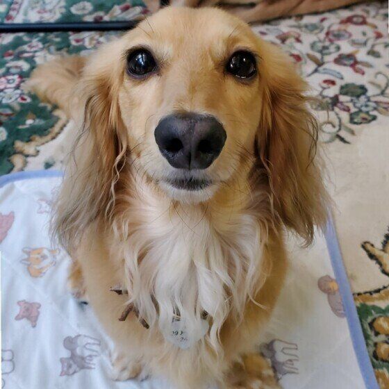 ごはんの時間になりましたよ♪