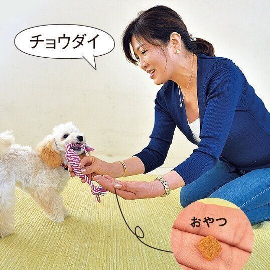 撮影／佐藤正之