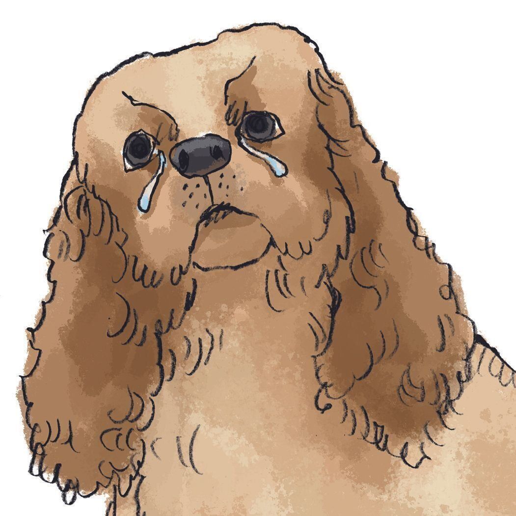 イラスト／五嶋直美　