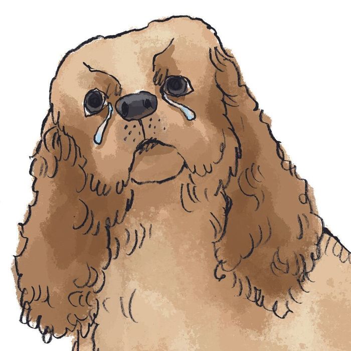 イラスト/五嶋直美