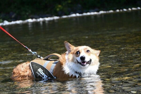 水遊びを楽しむるーしーちゃん