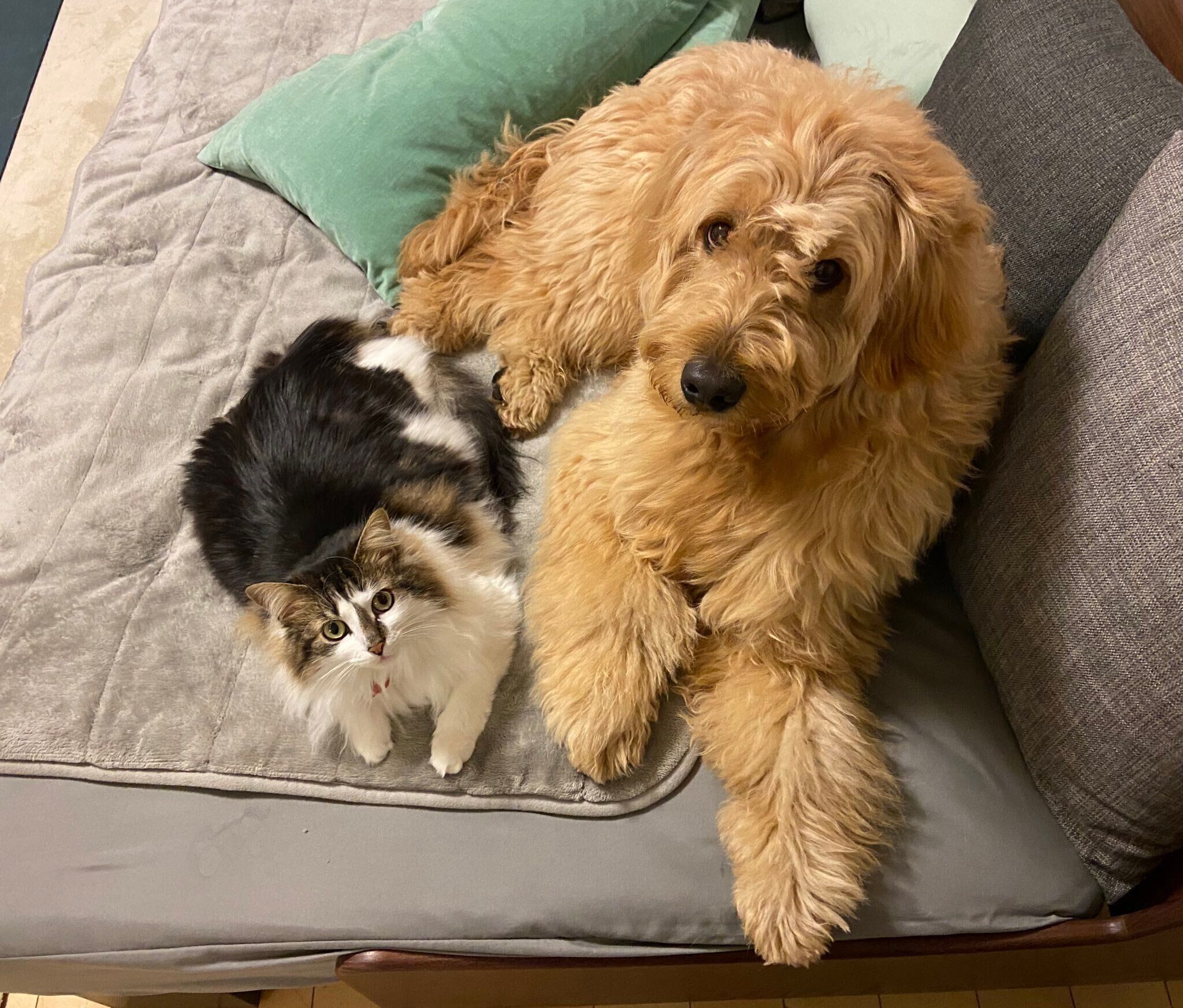 見つめるえんじろうくん、さんちゃん