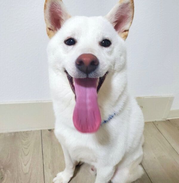 笑顔のおこめくん