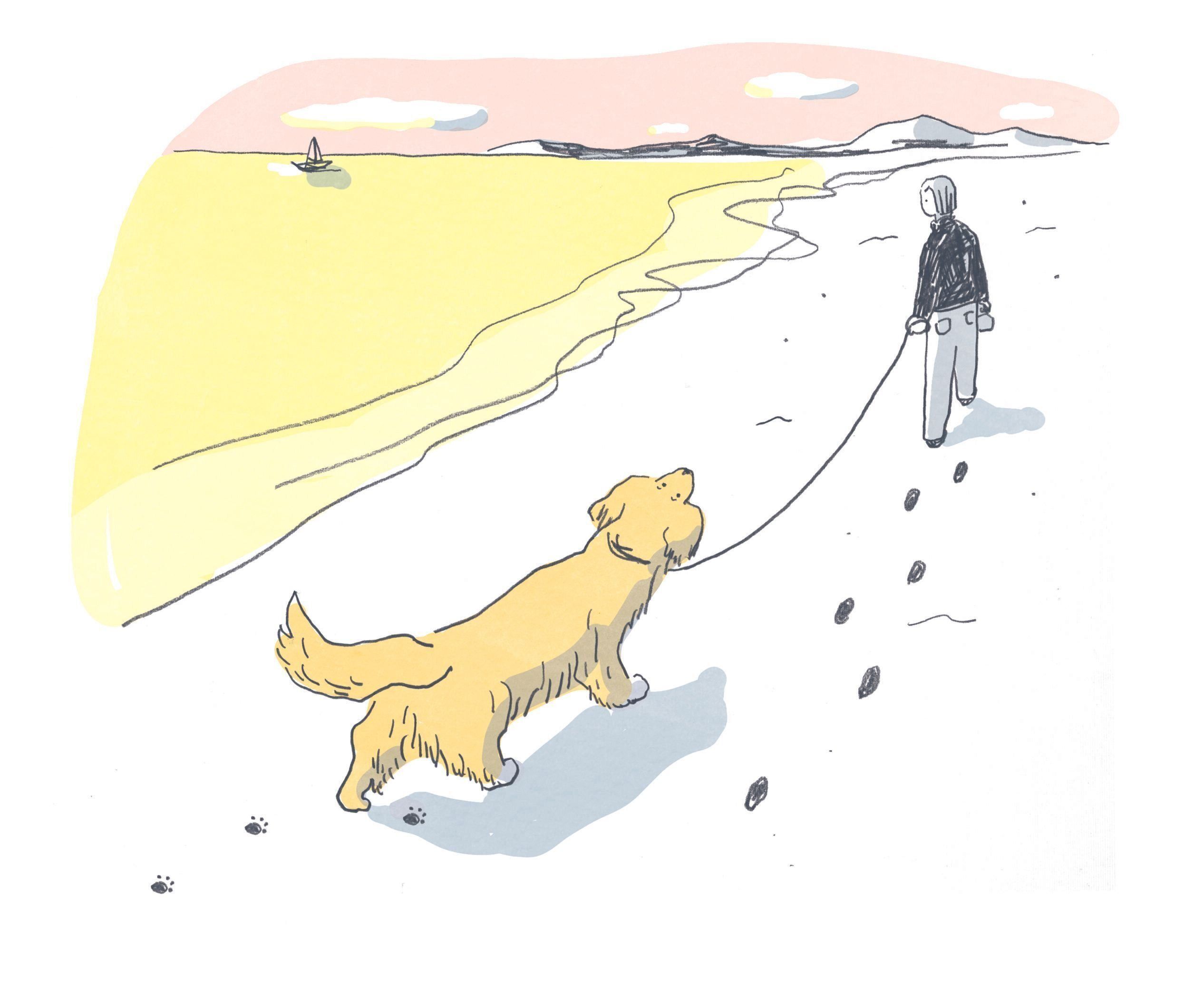 イラスト／須山奈津希