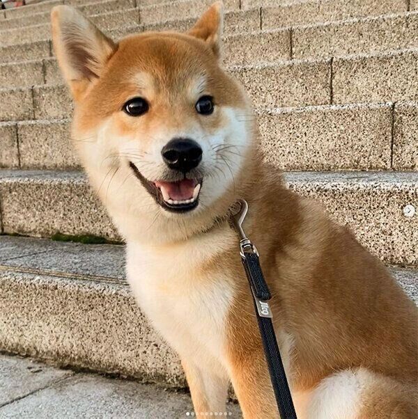 笑顔を見せるハクくん