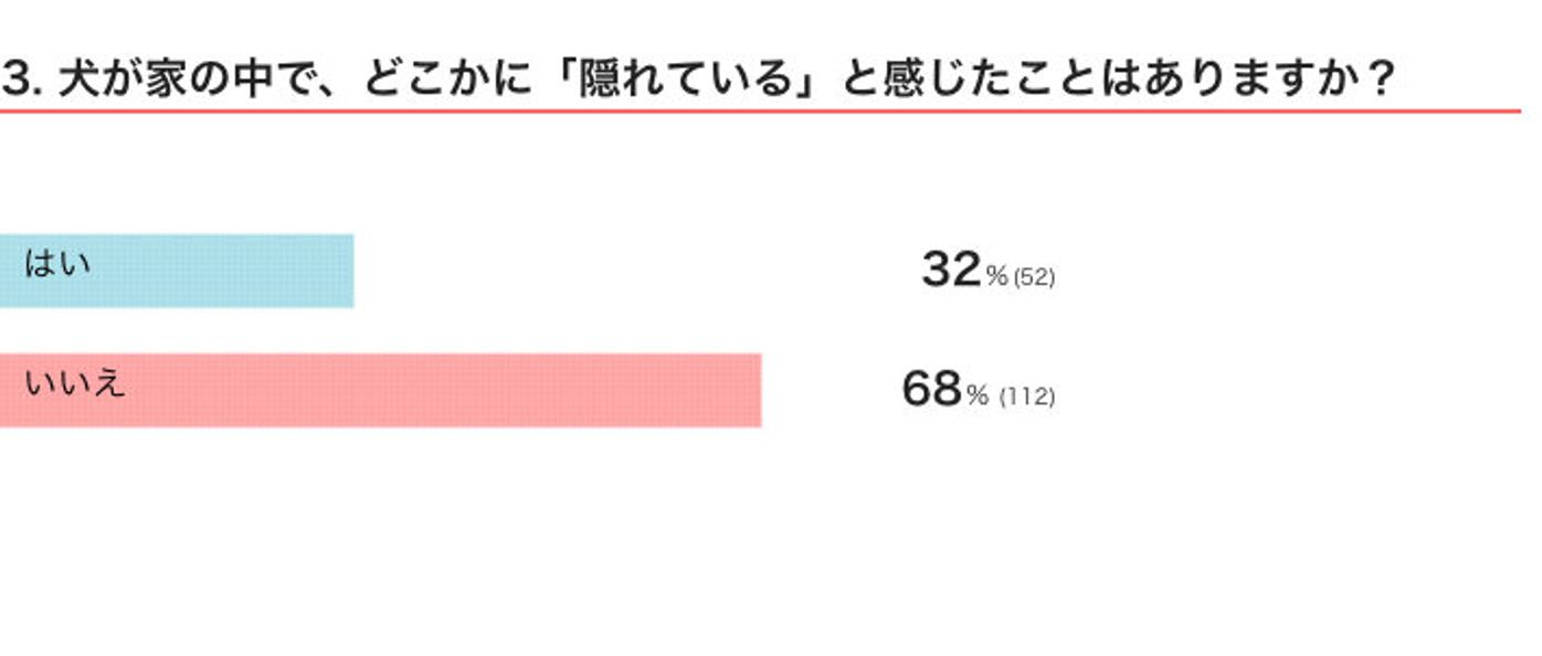 犬が家の中のどこかに 隠れる ときの心理とは 獣医師が解説 いぬのきもちweb Magazine 犬が家の中のどこかに 隠れる ときの心理とは 獣医師が解説 いぬのきもちweb Magazine