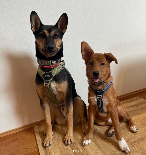 仲良しな風希くん、新葉くん