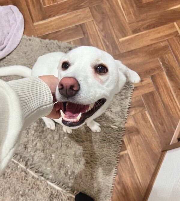 嬉しそうなこうめちゃん