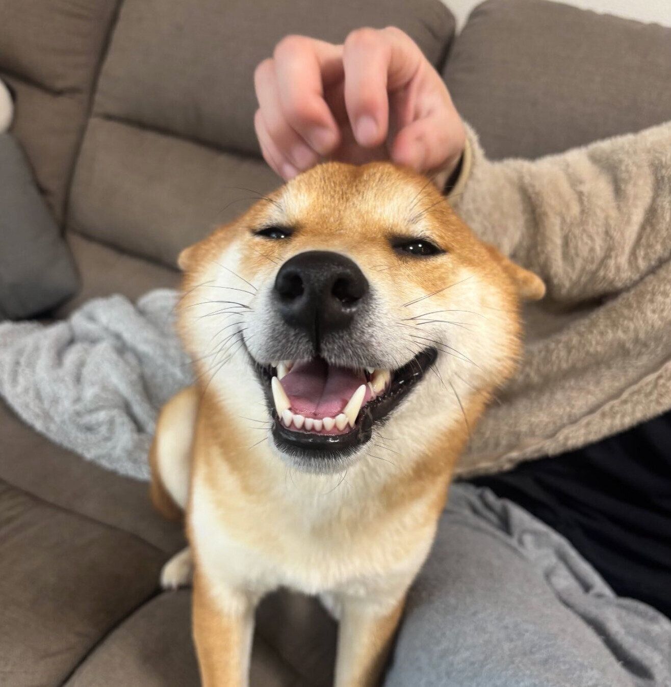 笑顔が可愛いこつぶちゃん