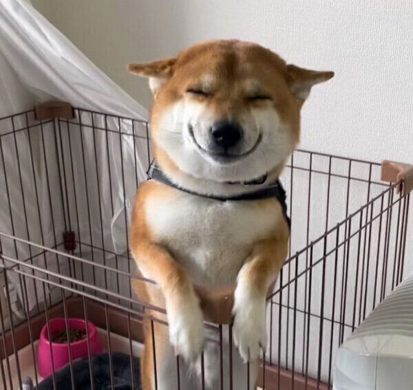 笑顔が可愛い雷吾くん