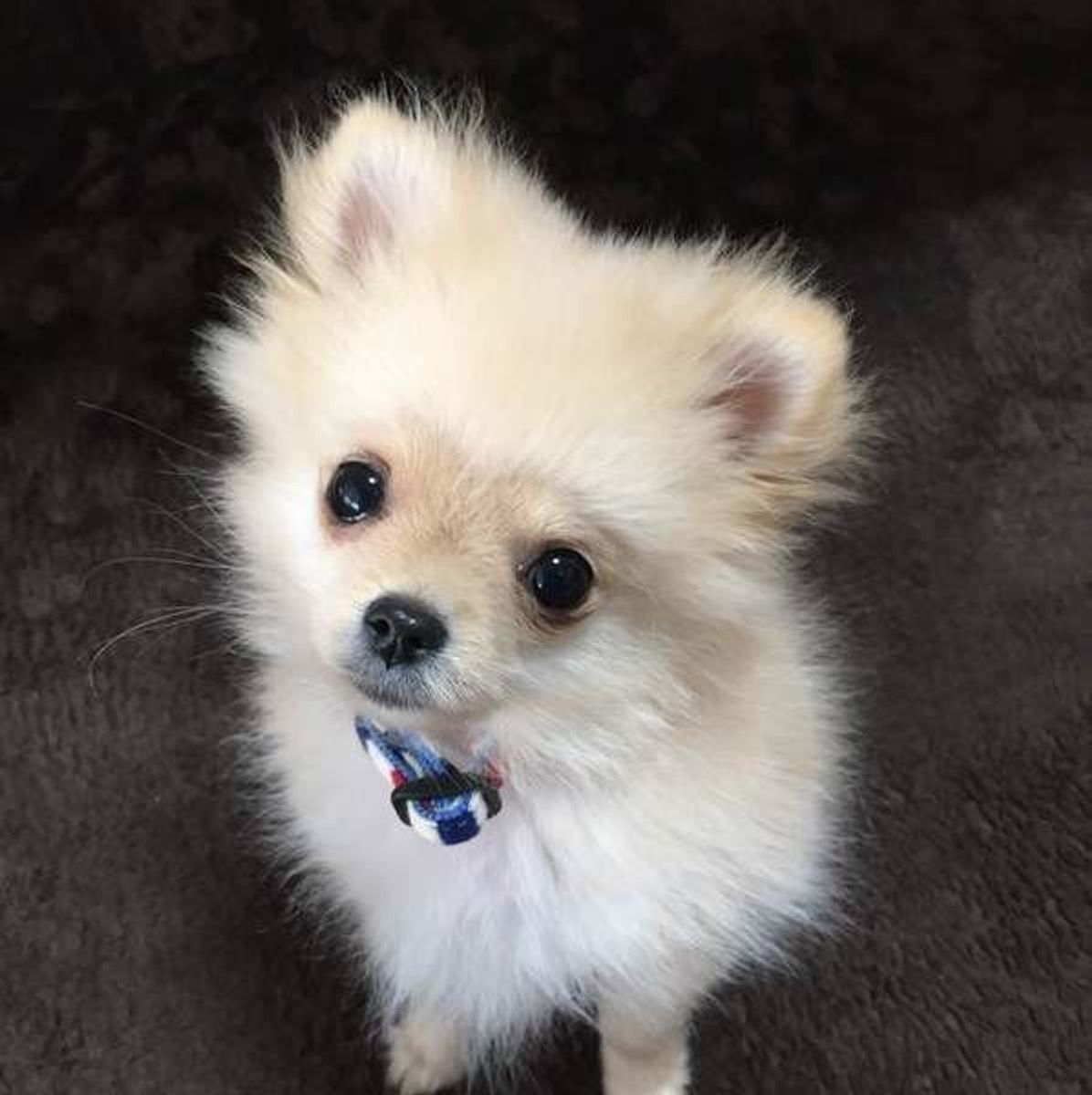 6awqqfrsmikgnm 6awqqfrsmikgnm