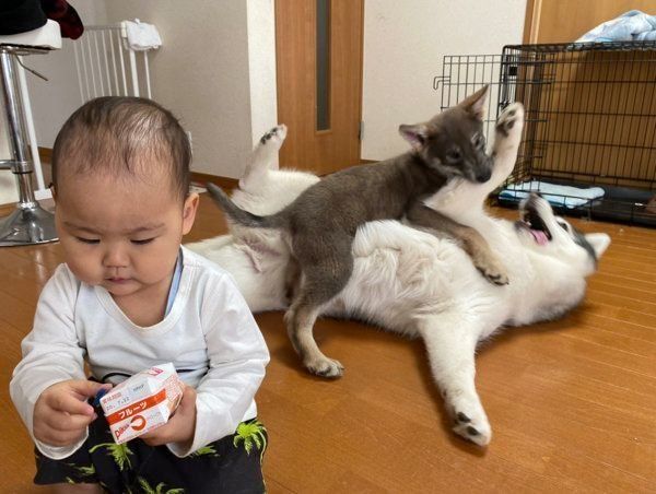 一緒に過ごすアルカちゃん、リカルドくん、息子さん