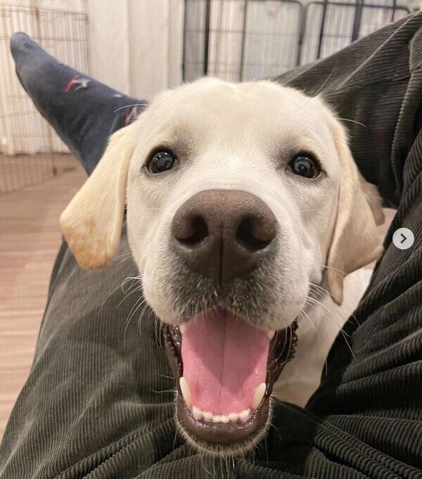 笑顔が可愛いイソくん