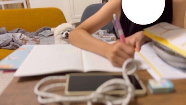 お姉ちゃんの宿題が終わるのを隣で待つぽんちゃん