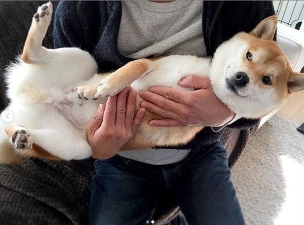 抱っこされるこてつくん