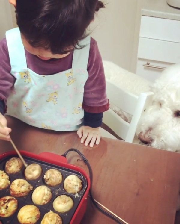 スタンダード・プードルと女の子