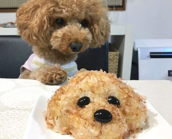愛犬・はなちゃんおにぎり