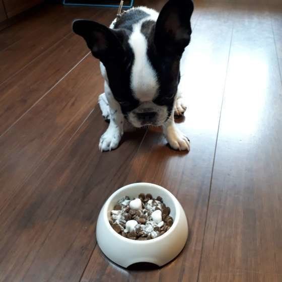 早く食べたいな。