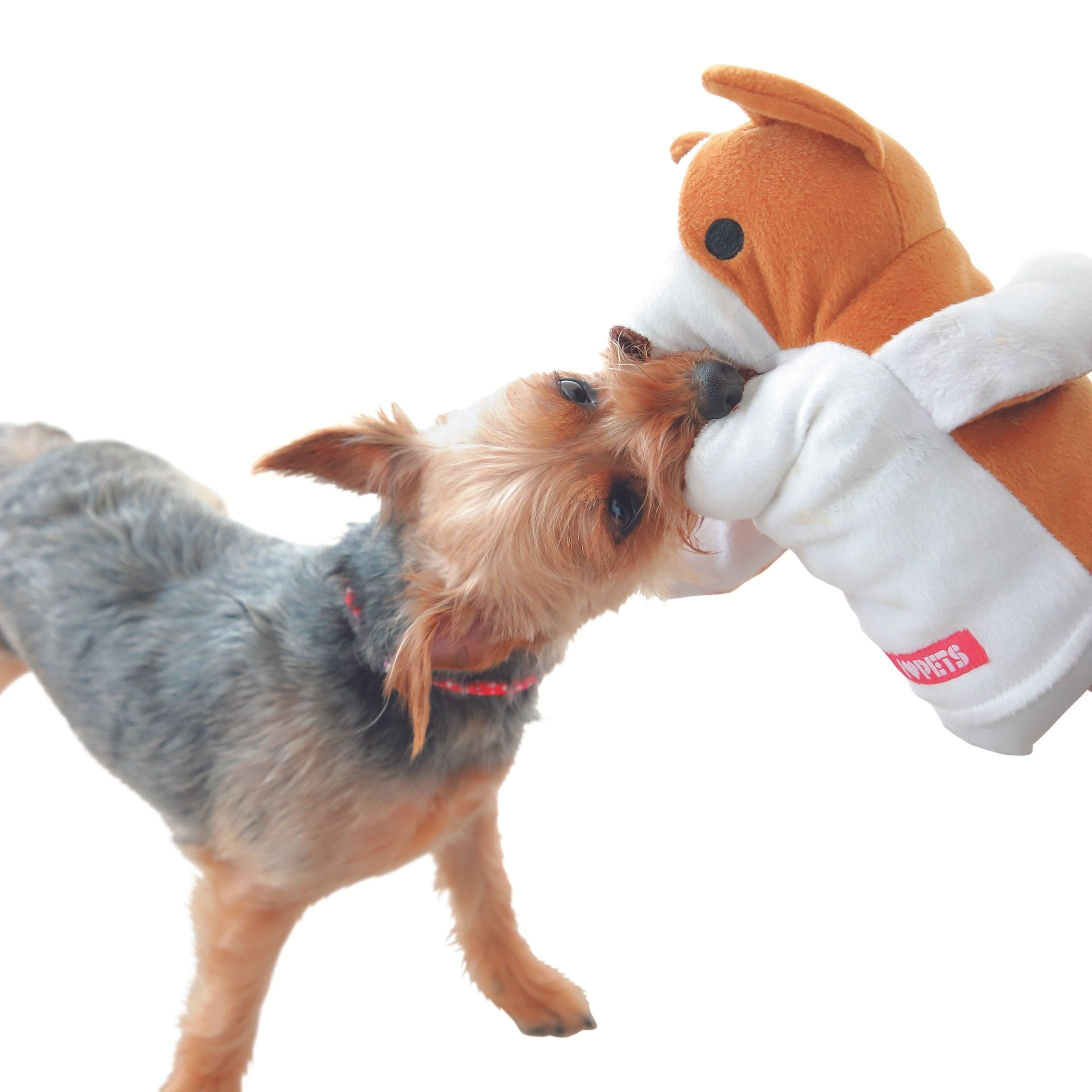 撮影／尾﨑たまき