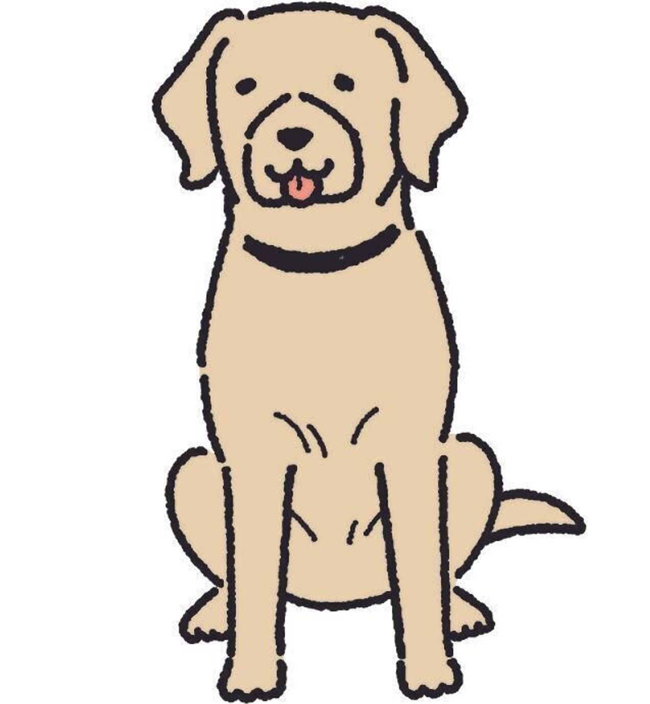 犬のかわいいポーズ もしかしたら病気のサインかも 要注意な 姿勢 をチェックしよう いぬのきもちweb Magazine 犬のかわいいポーズ もしかしたら病気のサインかも 要注意な 姿勢 をチェックしよう いぬのきもちweb Magazine