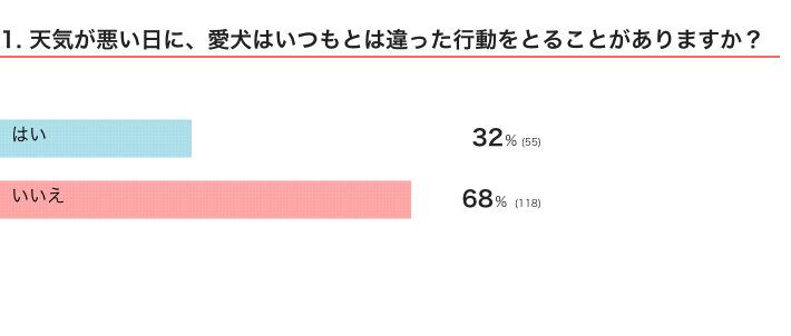 天気が悪い日に、愛犬はいつもとは違った行動をとることがある？