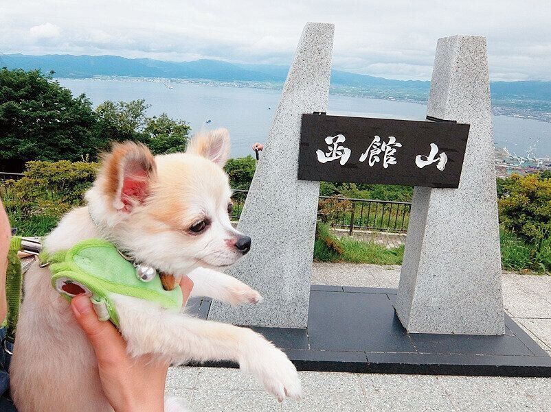 楽太郎くんが元気だった６才ころから、 全国制覇を目指して車で旅行に行ったというAさんご夫妻。制覇まであと２カ所を残すところだったそう