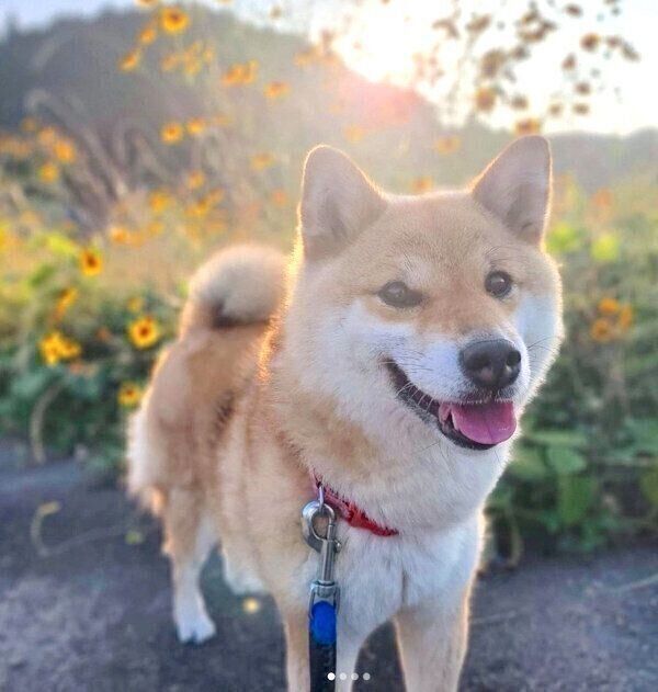 笑顔のたまちゃん