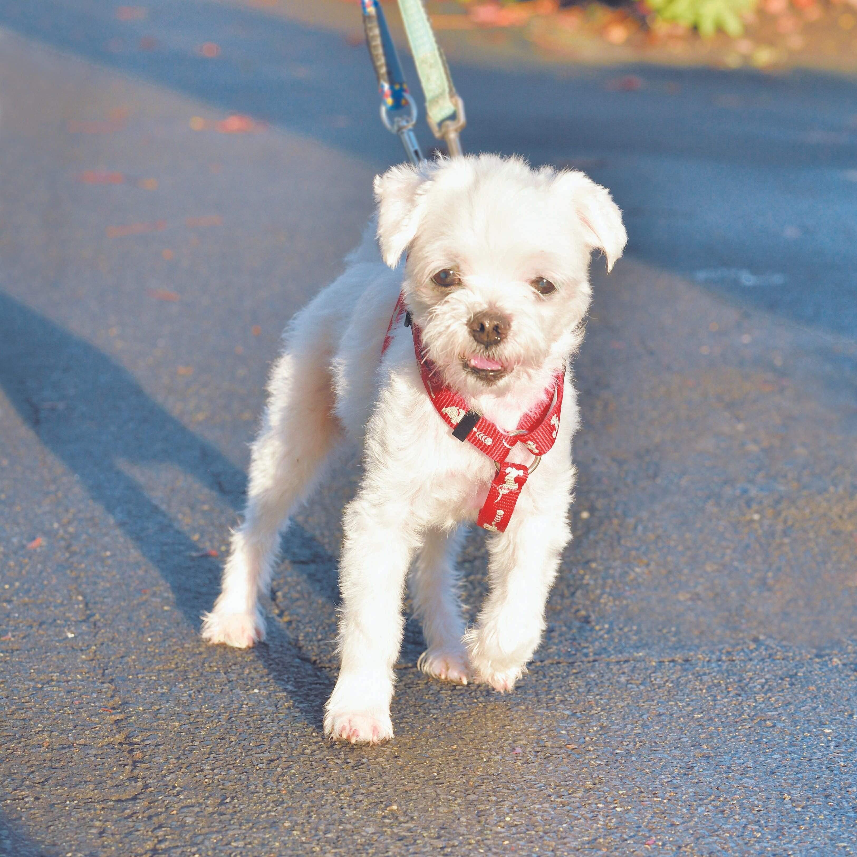 撮影／佐藤正之