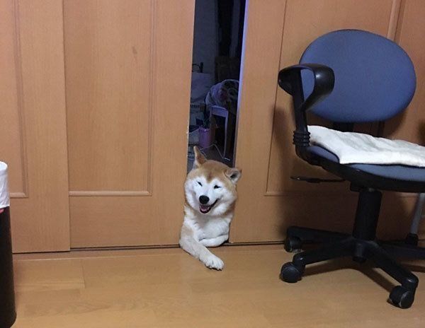 笑顔のロペさん