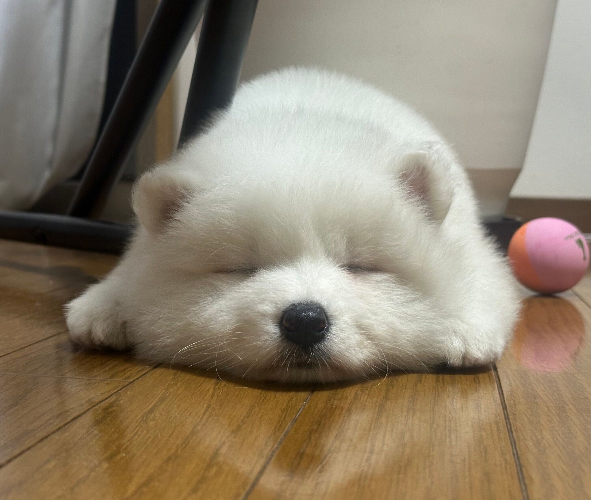 生後2カ月のころのさだはるくん