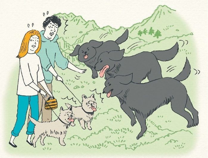 イラスト/別府麻衣