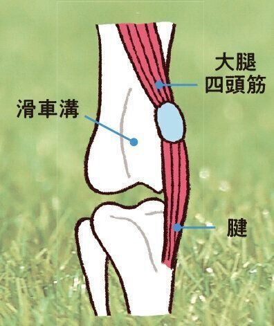 イラスト／オーツノコ
