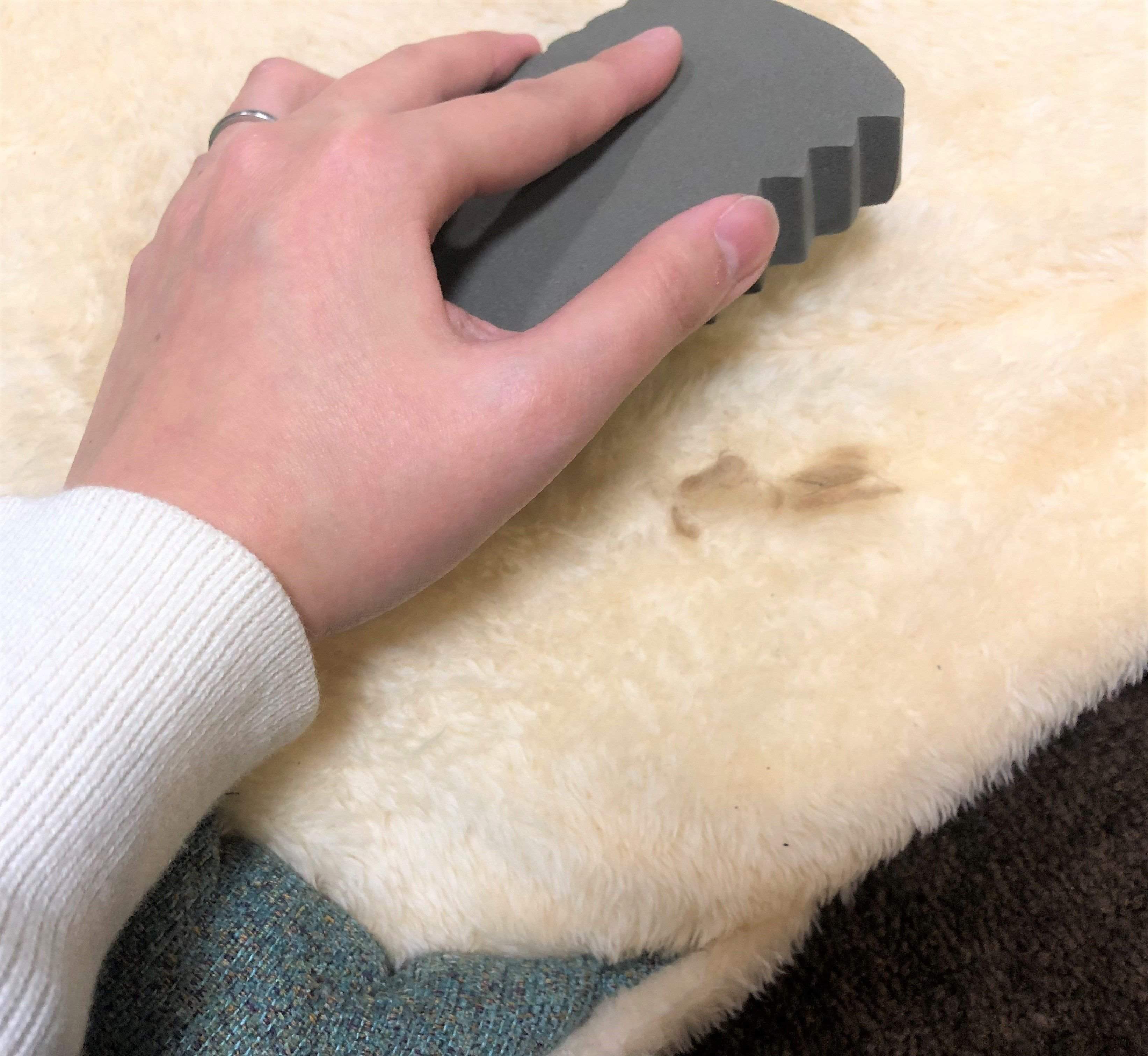 愛犬のベッドを掃除してみる