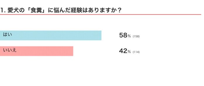 愛犬の食糞に悩んだ経験がある?